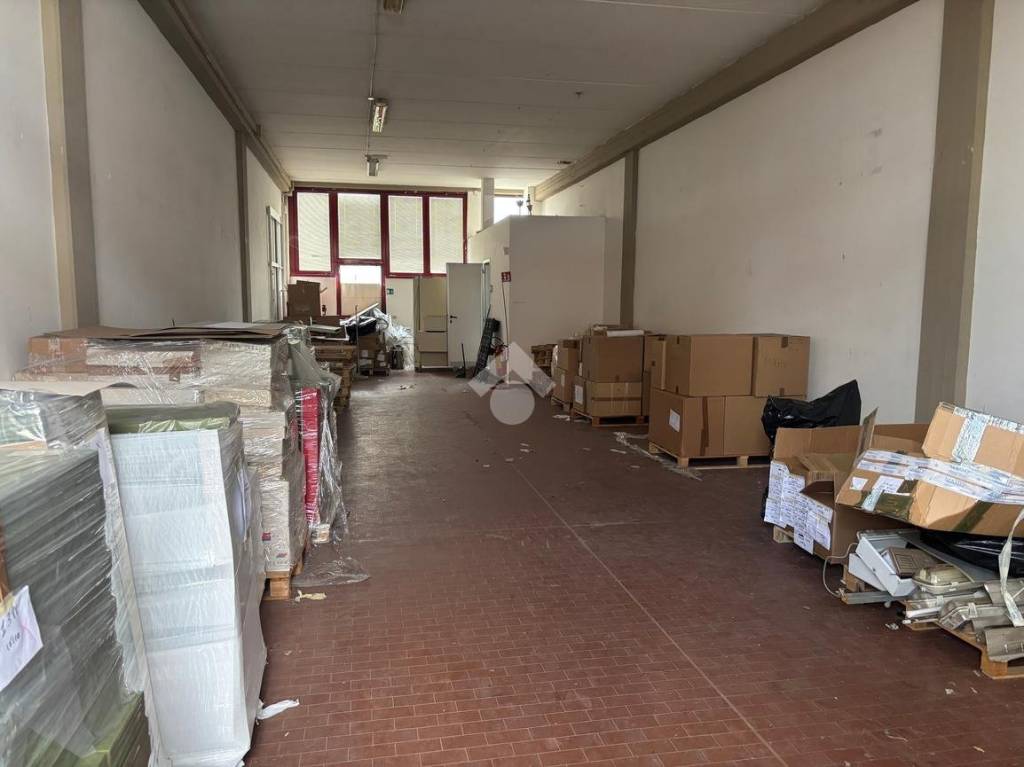 negozio in affitto a Scandicci