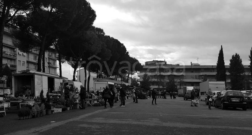 trivano in affitto a Scandicci