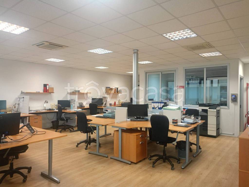 immagine annuncio 0 di 15