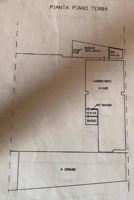 negozio in affitto a Scandicci in zona Casellina