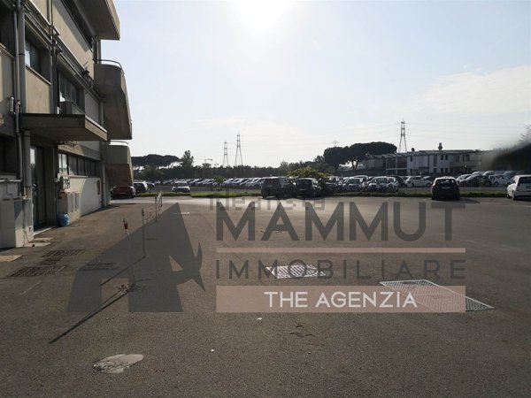 attico in affitto a Scandicci