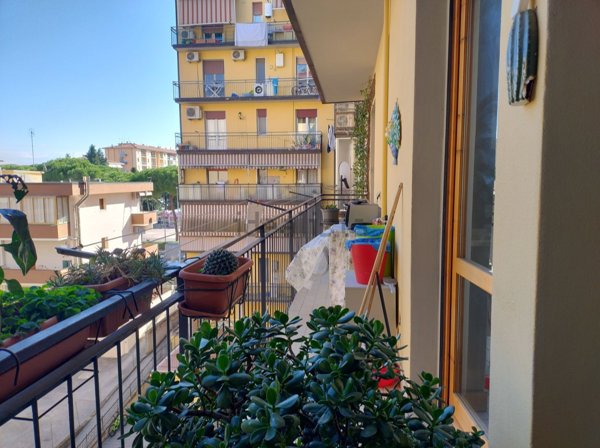 appartamento in affitto a Scandicci