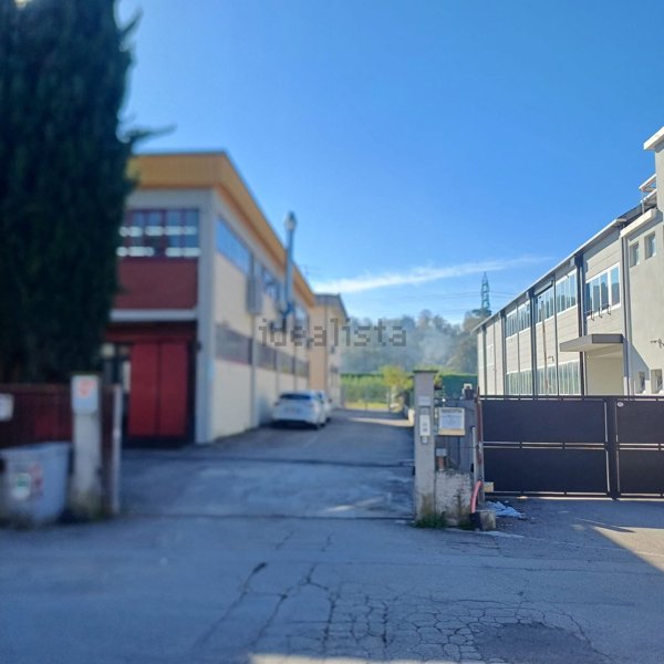 appartamento in affitto a Scandicci