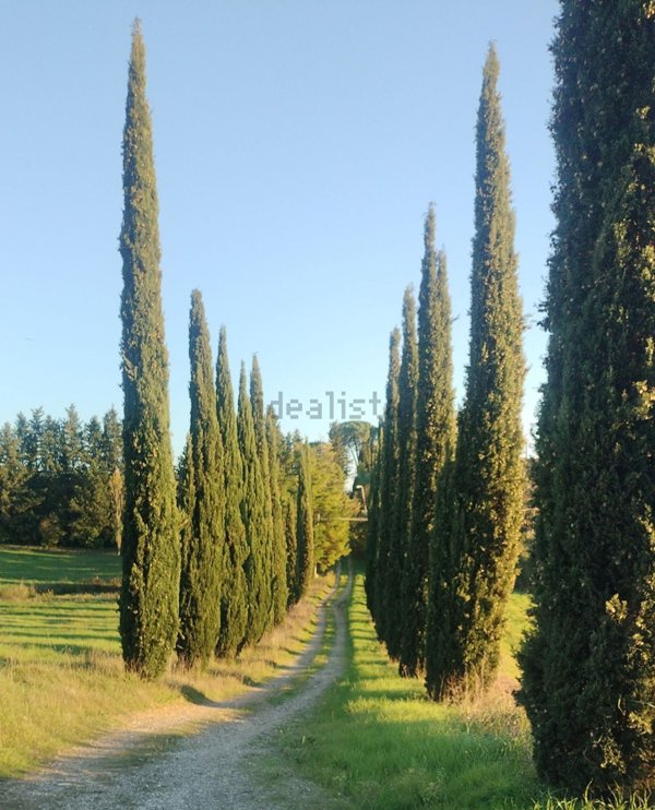 appartamento in affitto a Scandicci