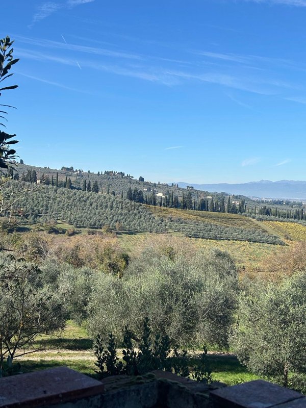 casa indipendente in affitto a Scandicci