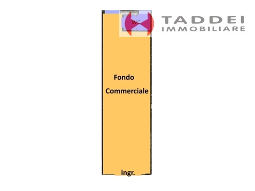 immagine annuncio 0 di 6