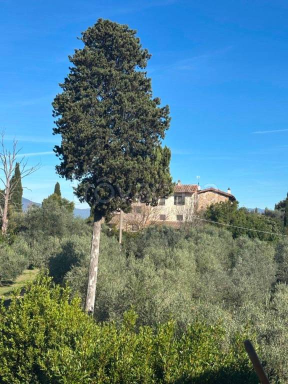 appartamento in affitto a Scandicci