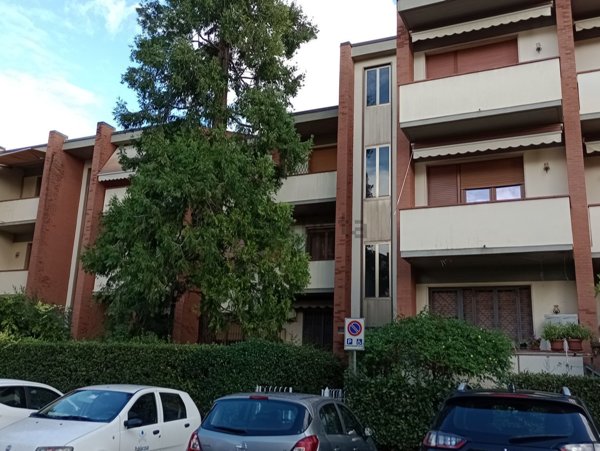 appartamento in affitto a Scandicci