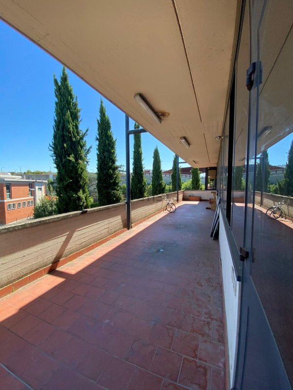 capannone in affitto a Scandicci