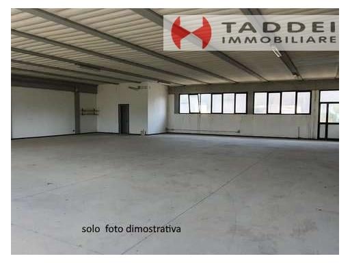 appartamento in affitto a Scandicci in zona Casellina