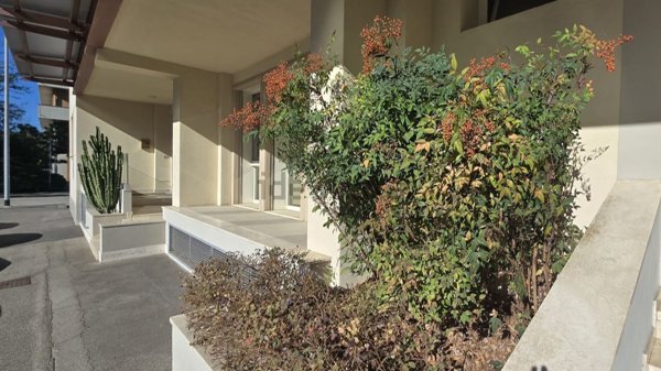 ufficio in affitto a Scandicci