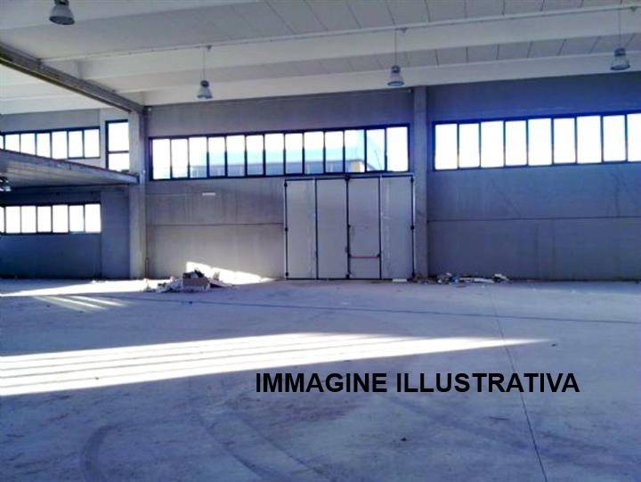 appartamento in affitto a Sesto Fiorentino