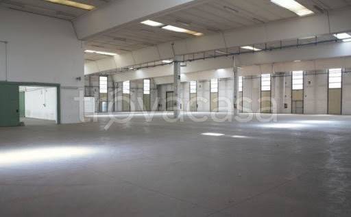 appartamento in affitto a Sesto Fiorentino in zona Osmannoro