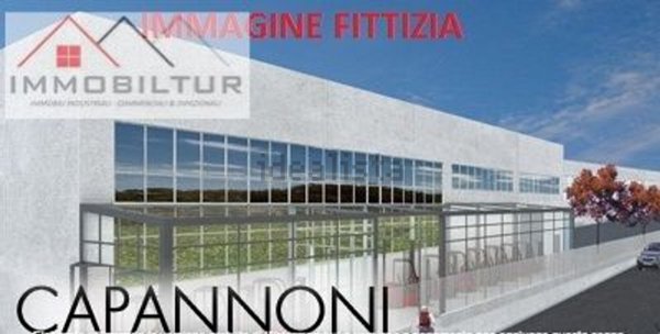 capannone in affitto a Sesto Fiorentino in zona Padule