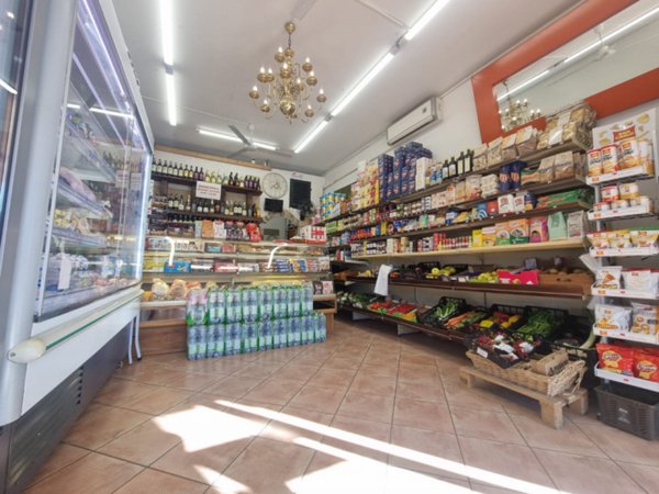 negozio in affitto a Sesto Fiorentino