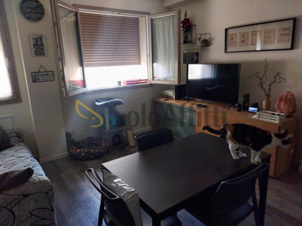 appartamento in affitto a Sesto Fiorentino