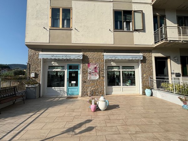 negozio in affitto a Sesto Fiorentino in zona Colonnata