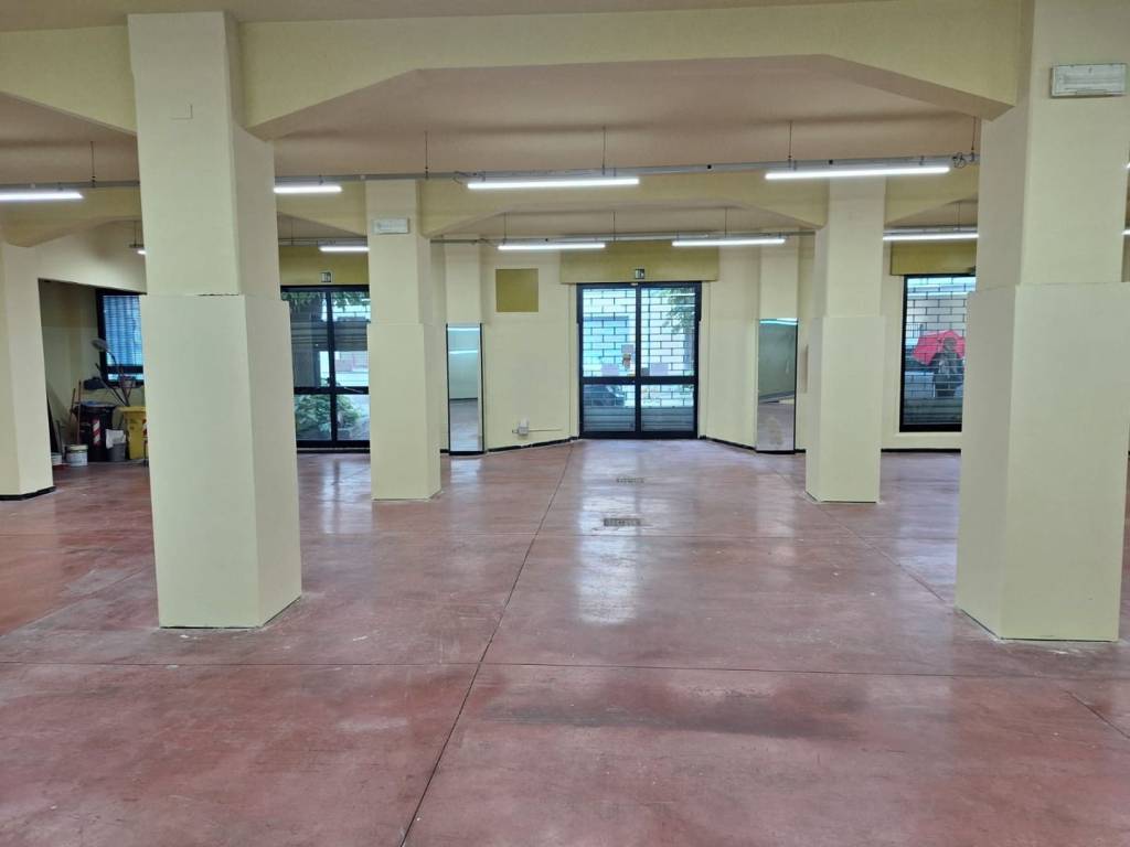 negozio in affitto a Sesto Fiorentino in zona Padule