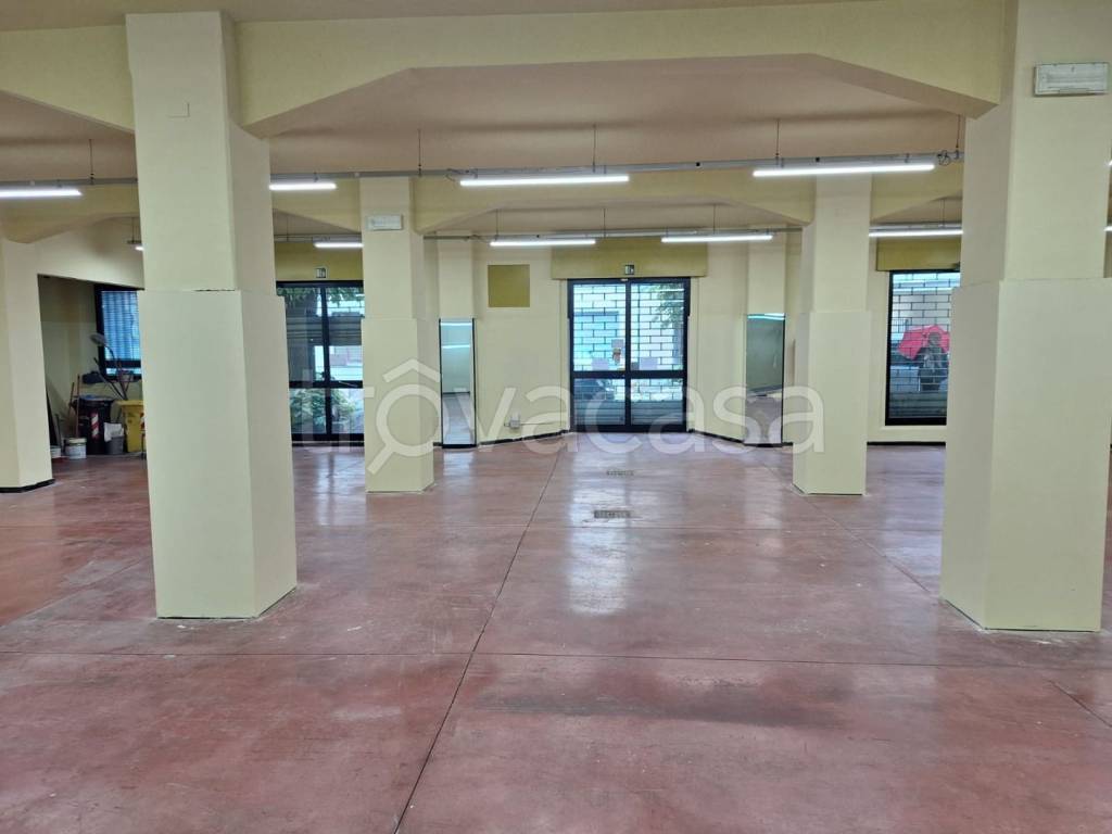 negozio in affitto a Sesto Fiorentino