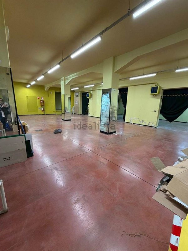 locale commerciale in affitto a Sesto Fiorentino in zona Padule