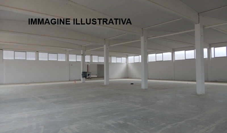 capannone in affitto a Signa