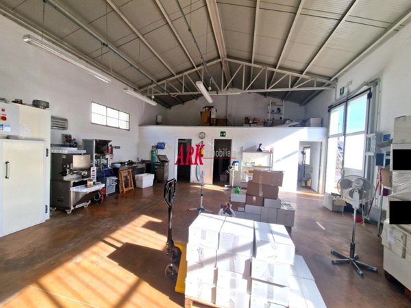 appartamento in affitto a Signa