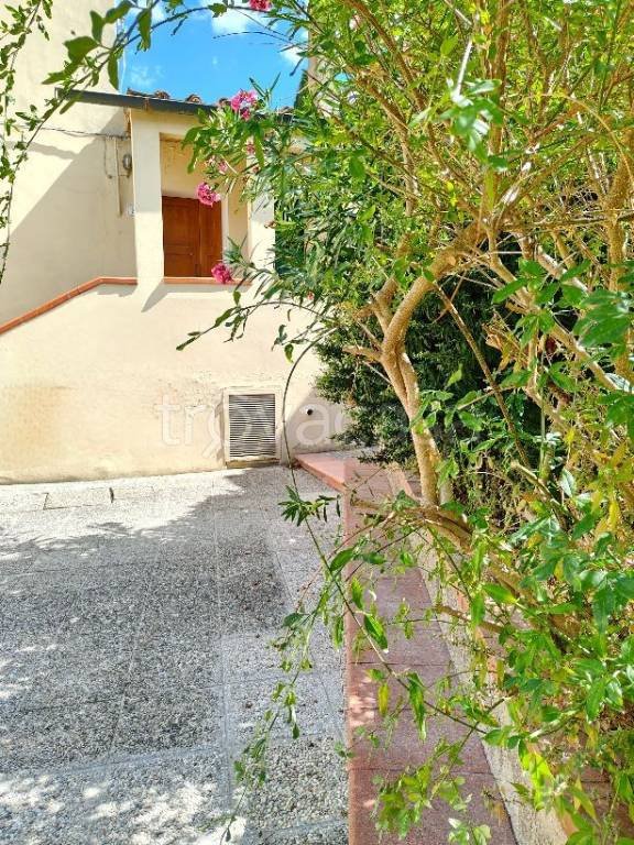 appartamento in affitto a Signa