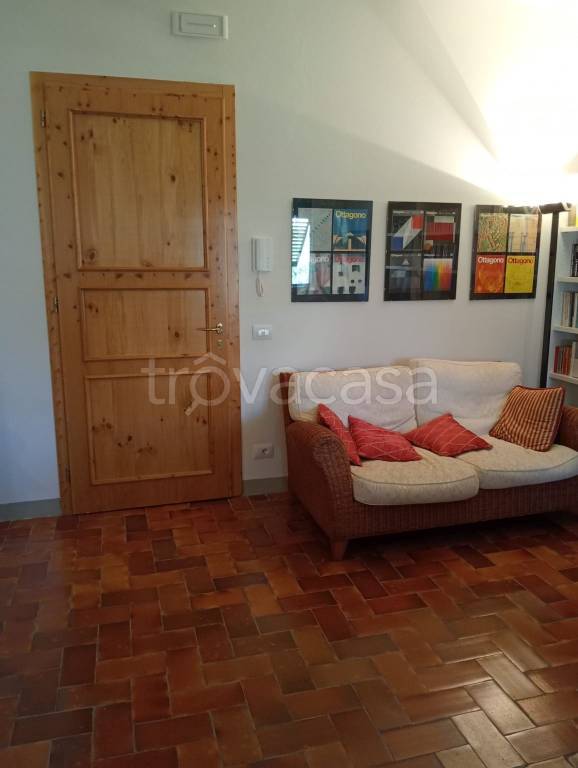 appartamento in affitto a Signa