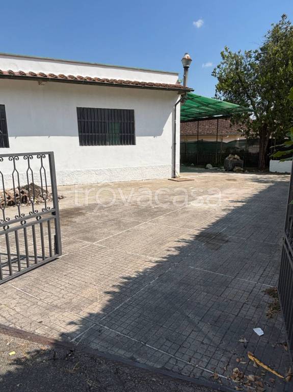 locale commerciale in affitto a Signa