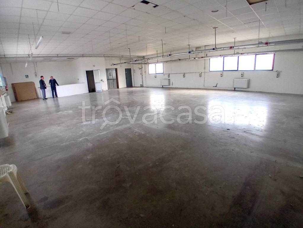 locale commerciale in affitto a Signa