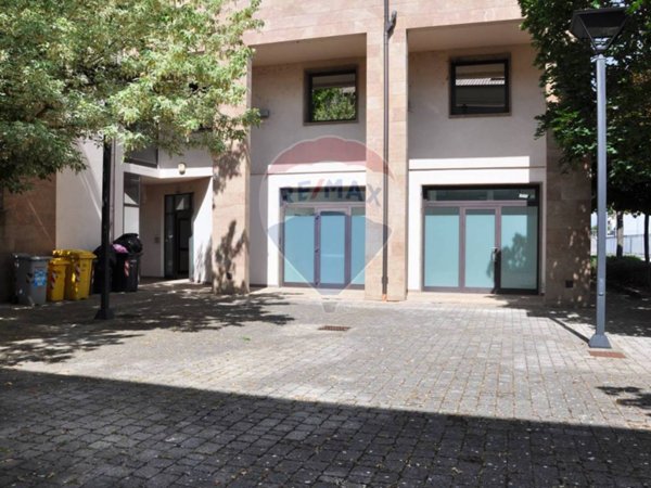 quadrivano in affitto a Signa