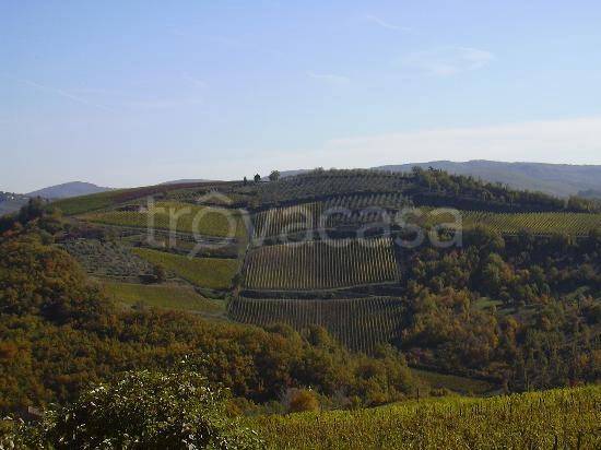 appartamento in affitto a Signa