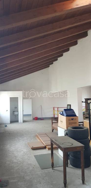 appartamento in affitto a Signa