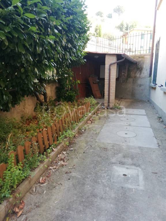 appartamento in affitto a Signa