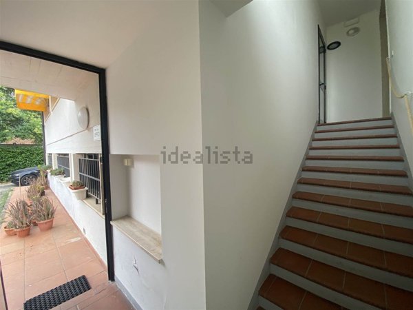 negozio in affitto a Signa