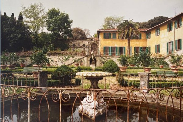 appartamento in affitto a Signa