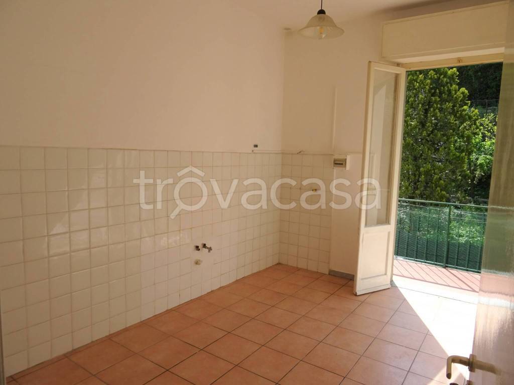 appartamento in affitto a Signa