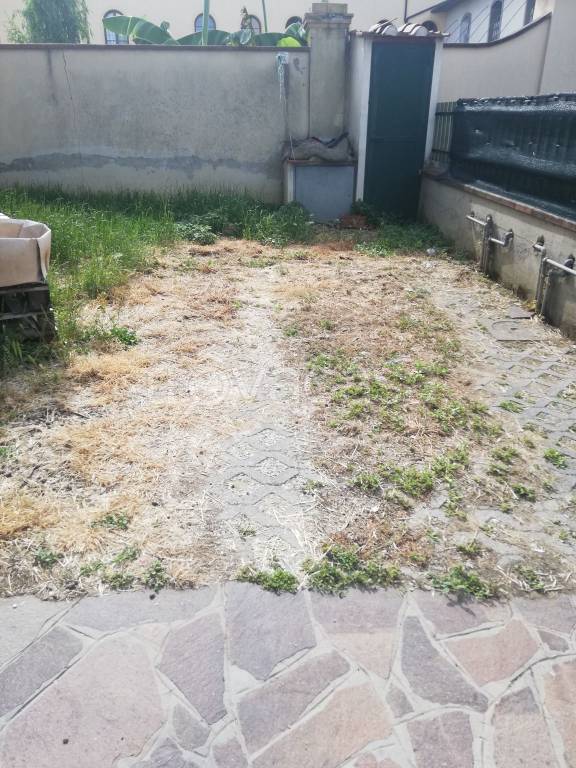 appartamento in affitto a Signa