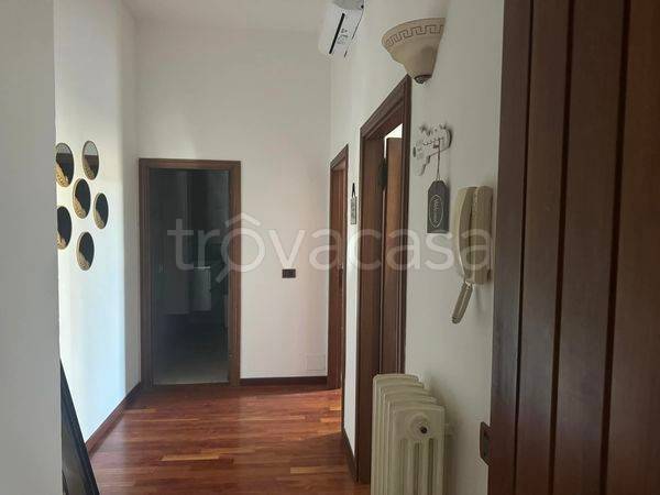 appartamento in affitto a Signa