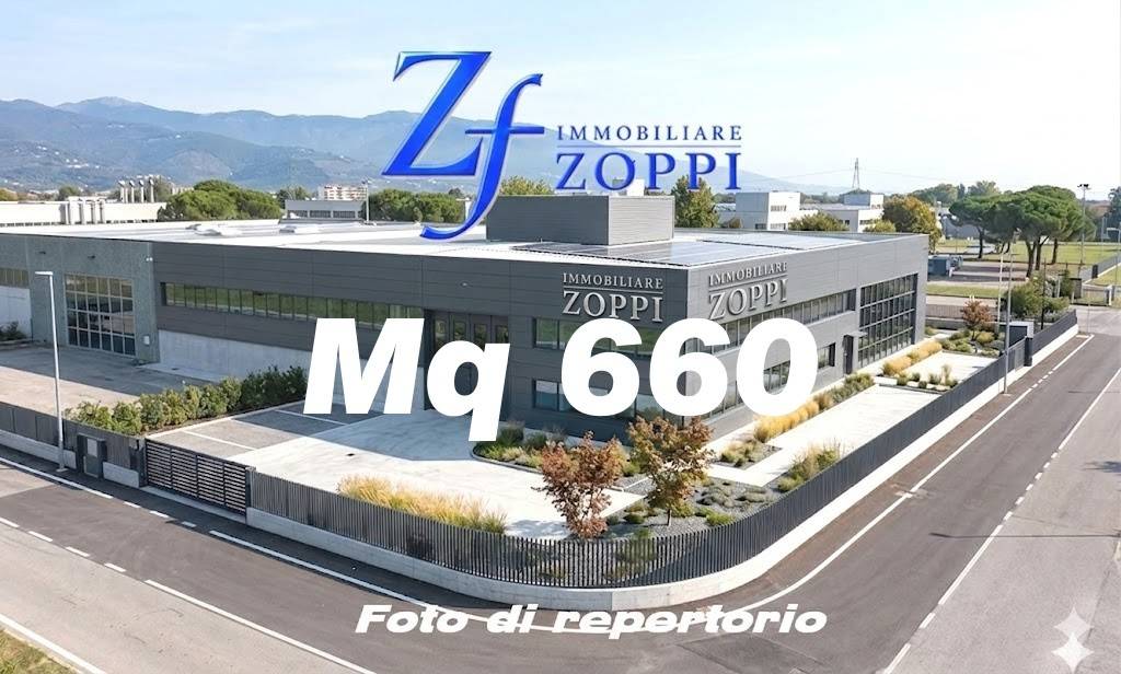 locale commerciale in affitto a Signa