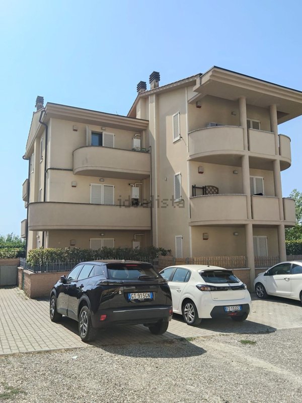 appartamento in affitto a Signa