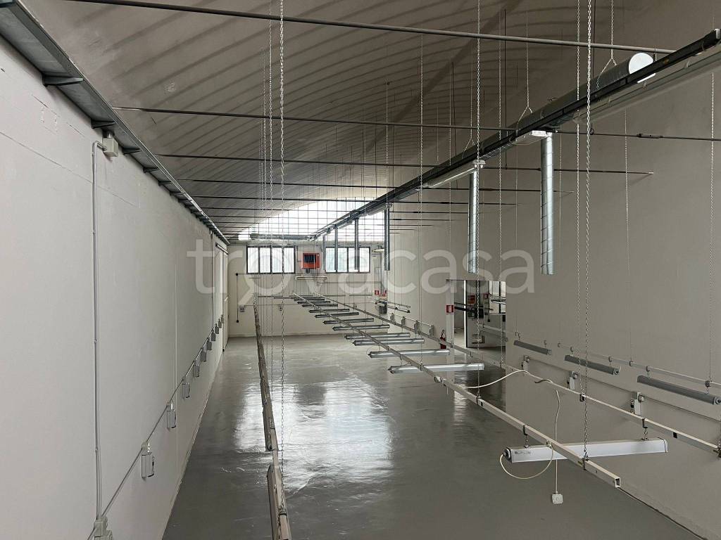 locale commerciale in affitto a Signa