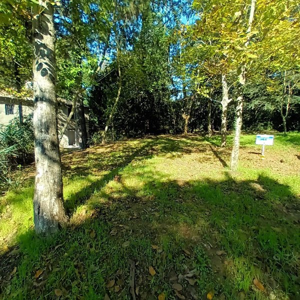 appartamento in affitto a Vaglia