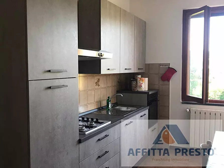 appartamento in affitto a Vinci