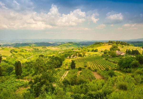 casa indipendente in affitto a Vinci