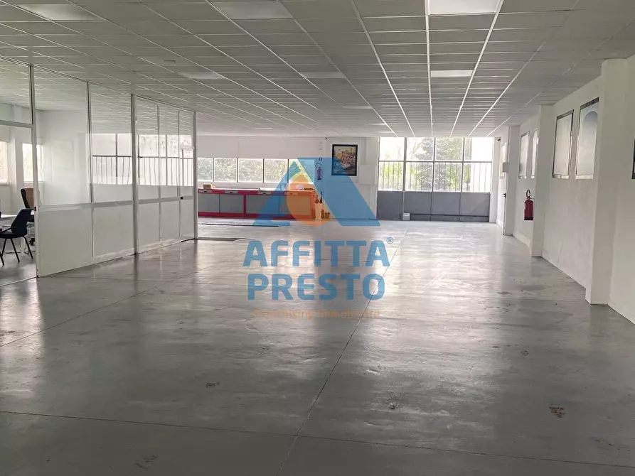 negozio in affitto a Vinci