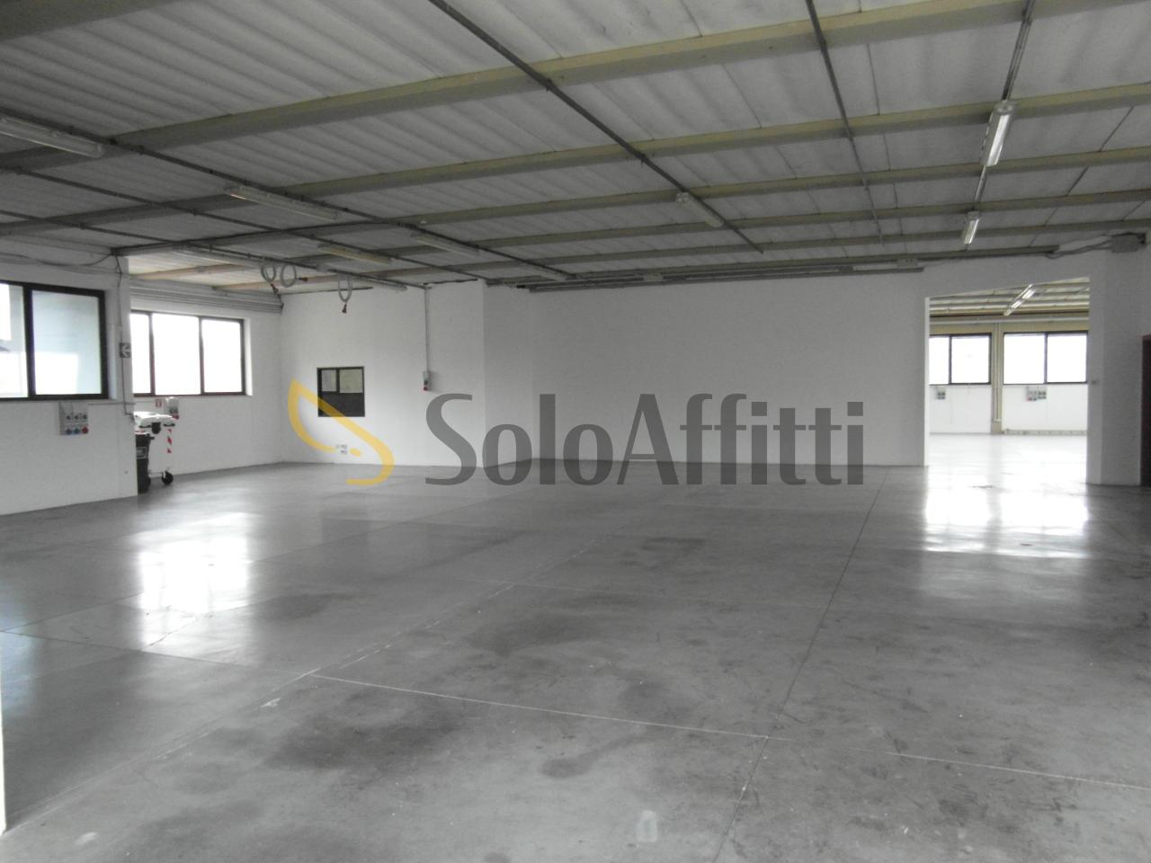 appartamento in affitto a Vinci