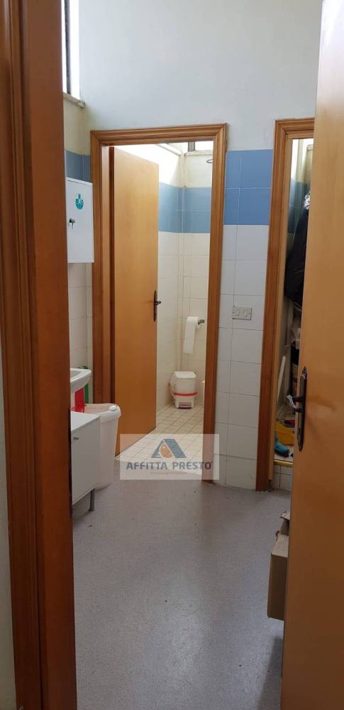 negozio in affitto a Vinci