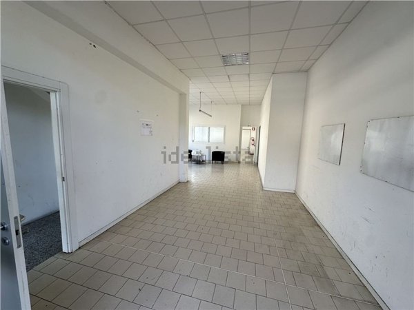 negozio in affitto a Vinci