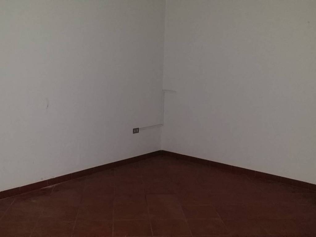 negozio in affitto a Vinci